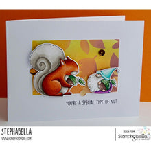 Load image into Gallery viewer, The Gnome And The Squirrel Cling Rubber Stamp
