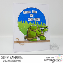 Load image into Gallery viewer, Oddball Turtle Rubber Stamp
